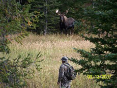 Wyoming Moose Hunt