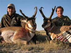 Wyoming Archery Antelope Hunt