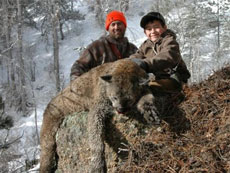 Cougar Hunt With 1st Western Adventures