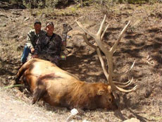 Wyoming Archery Elk Hunt